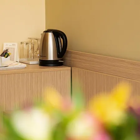 Hotel Geneva 4*